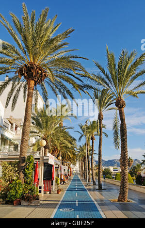 Palmiers, restaurants, location lane, promenade de la plage, la lumière du matin, Altea, Costa Blanca, Province d'Alicante, Espagne, Europe Banque D'Images