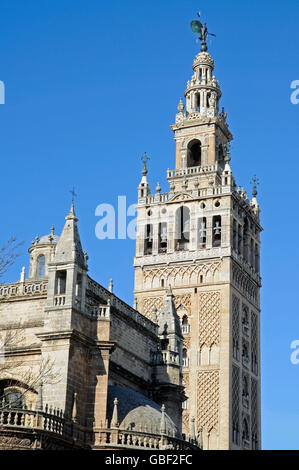 La Giralda, la tour du clocher, Santa Maria de la Sede, cathédrale, Séville, Séville, Andalousie, province de l'Espagne, Europe Banque D'Images