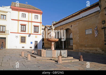 Fontaine, la Plaza del Potro, Carré, Musée des beaux-arts, Cordoue, province de Cordoue, Andalousie, Espagne, Europe Banque D'Images