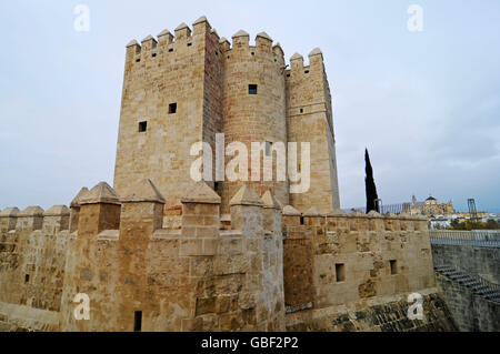 Torre La Calahorra, tour, Musée des Trois Cultures, Cordoue, province de Cordoue, Andalousie, Espagne, Europe Banque D'Images