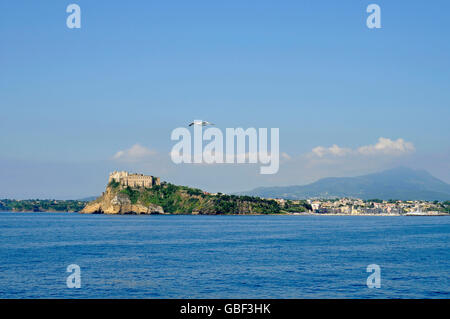 Terra Murata, trimestre, Porto di Marina Grande à l'arrière, d'un port, d'île de Procida, Golfe de Naples, Campanie, Italie Banque D'Images