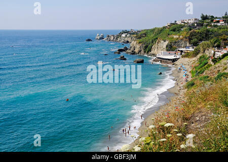 Cava dell'Isola, plage, Forio, île de Ischia, dans le golfe de Naples, Campanie, Italie Banque D'Images