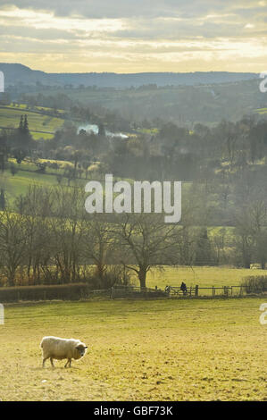 NOTE - FILTRE POLARISANT ET FILTRE DE DENSITÉ NEUTRE GRADUÉ UTILISÉ PENDANT LA CAPTURE ET TRAITÉ EN CONSÉQUENCE le soleil descend sur les champs et la colline dans Gloucestershire après un relativement chaud et printemps comme jour. Banque D'Images