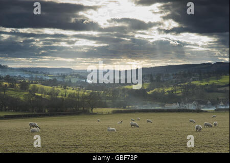 NOTE - FILTRE POLARISANT ET FILTRE DE DENSITÉ NEUTRE GRADUÉ UTILISÉ PENDANT LA CAPTURE ET TRAITÉ EN CONSÉQUENCE le soleil descend sur les champs et la colline dans Gloucestershire après un relativement chaud et printemps comme jour. Banque D'Images