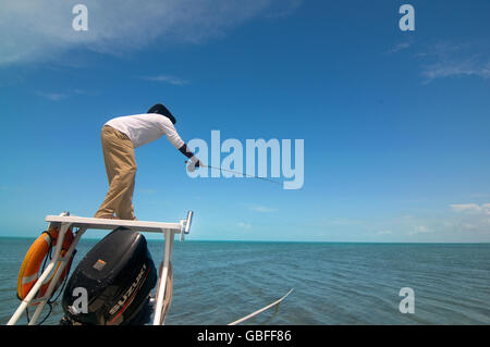 Un guide jette son voler à une piscine bonefish sur les flats, dans les îles Turks et Caicos Îles près de la Caïque du Milieu. Banque D'Images