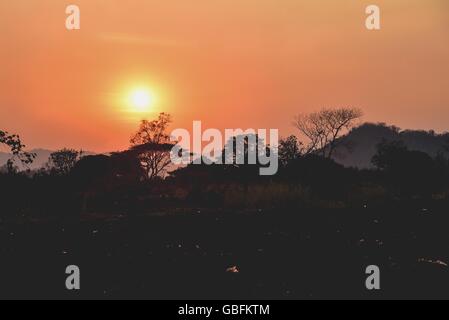 Magnifique Coucher de soleil sur le parc national Khao Yai Banque D'Images