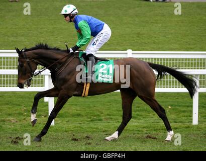 Les courses de chevaux - Paddy Power Imperial Cup Day - Sandown Park Banque D'Images