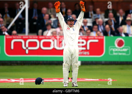 Cricket - npower Premier Test - Angleterre v Nouvelle-zélande - Jour 1 Banque D'Images