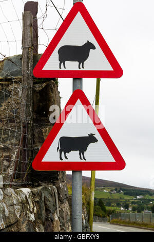 Le Royaume-Uni route triangulaire avertissement les bovins et les moutons. Banque D'Images