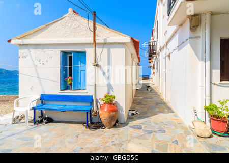 Blanc typique maison grecque avec les chats dormir dans une rue ombragée, ville de Kokkari, l'île de Samos, Grèce Banque D'Images