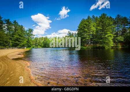 Plage sur un lac à Bear Brook State Park, New Hampshire. Banque D'Images