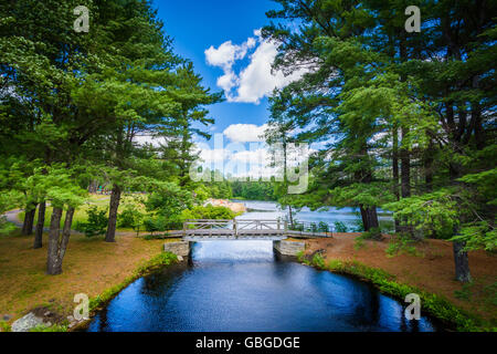 Bridge et de pins, à Bear Brook State Park, New Hampshire. Banque D'Images