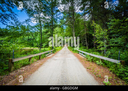 Pont sur un ruisseau dans la forêt à Bear Brook State Park, New Hampshire. Banque D'Images