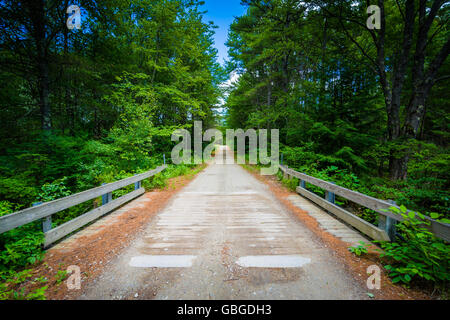 Pont sur un ruisseau dans la forêt à Bear Brook State Park, New Hampshire. Banque D'Images