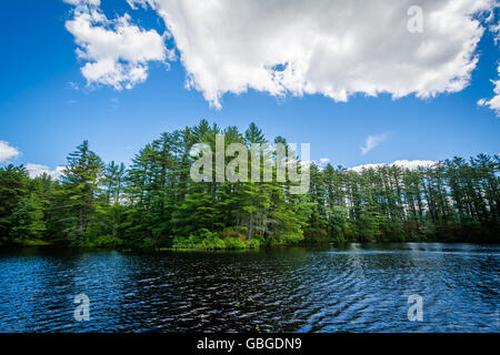 Lake à Bear Brook State Park, New Hampshire. Banque D'Images