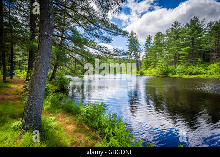 Lake à Bear Brook State Park, New Hampshire. Banque D'Images