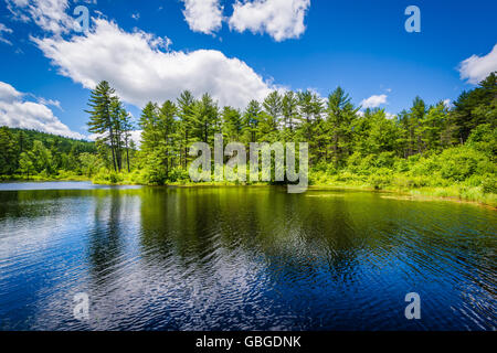 Lake à Bear Brook State Park, New Hampshire. Banque D'Images