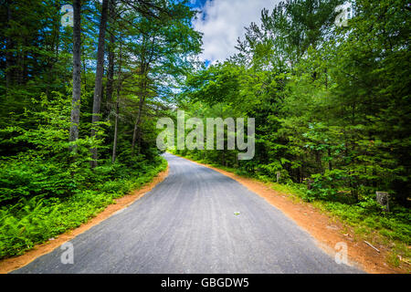 Route à travers une forêt à Bear Brook State Park, New Hampshire. Banque D'Images