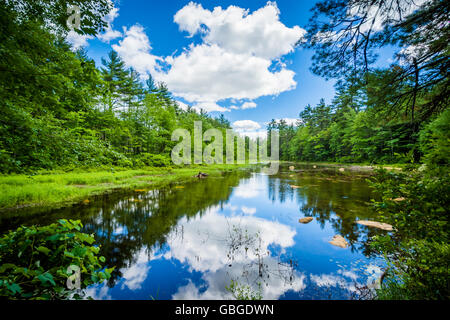 Petit étang à Bear Brook State Park, New Hampshire. Banque D'Images