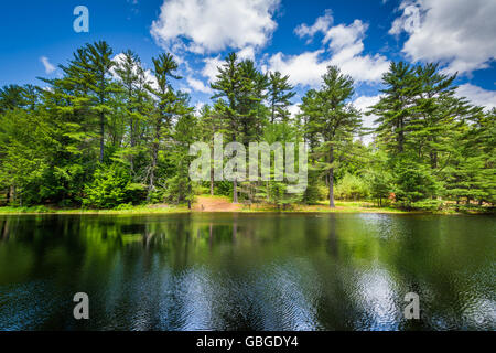 Le Tir à l'étang à Bear Brook State Park, New Hampshire. Banque D'Images