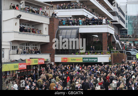 Les courses de chevaux - Cheltenham Festival 2009 - Jour quatre - l'Hippodrome de Cheltenham Banque D'Images