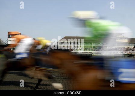 Les coureurs et les cavaliers passent devant la tribune pendant la journée du Derby d'hiver à l'hippodrome de Linfield. Banque D'Images