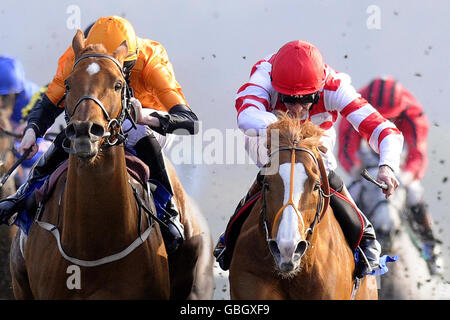 Horse Racing - Derby d'hiver - Hippodrome de Lingfield Banque D'Images