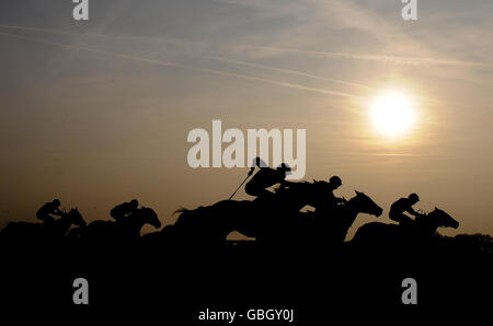 Les coureurs s'affrontent vers la fin tandis que le soleil commence à se coucher pendant la journée du Derby d'hiver à l'hippodrome de Linfield. Banque D'Images