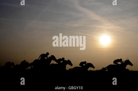 Abbondanza et Tom Eaves s'étirent clairement pour gagner les attheraces.com enjeux handicap tandis que le soleil se couche pendant la journée du Derby d'hiver à l'hippodrome de Linfield. Banque D'Images