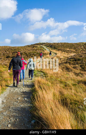 Les gens qui marchent sur Gowbarrow Fell est tombé près de Ullswater dans le Parc National du Lake District, Cumbria, Angleterre. Banque D'Images