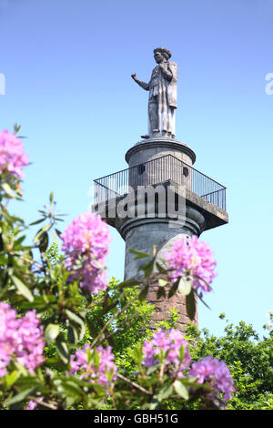 Le sommet du monument à Hawkstone Park Follies, commémorative de Sir Rowland Hill, Shropshire, Angleterre. Banque D'Images