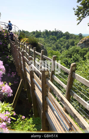 L'étroit et précaire Swiss Bridge à Hawkstone Park Follies, Shropshire, Angleterre. Banque D'Images