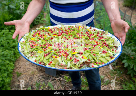 Salade du jardin avec pommgranate la semence dans un jardin d'été Banque D'Images