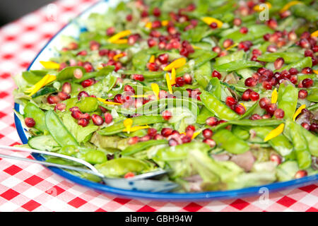 Salade du jardin avec pommgranate la semence dans un jardin d'été Banque D'Images