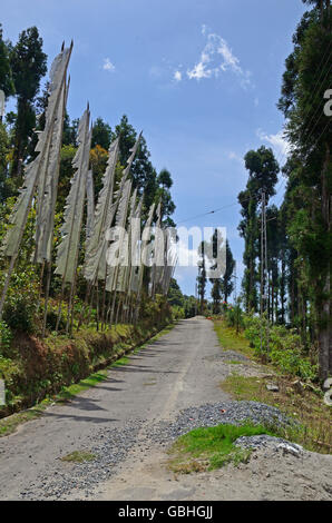 Paysage de Kaluk, à l'ouest du Sikkim, Inde Banque D'Images