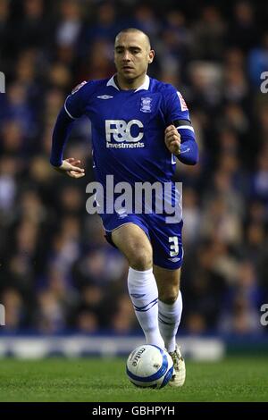 Football - Coca-Cola Championship - Birmingham City / Wolverhampton Wanderers - St Andrew's Stadium. David Murphy, Birmingham City Banque D'Images