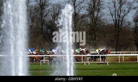 Vue générale des coureurs et des cavaliers pendant les piquets de la Free Bets Maiden Fillie (classe 4) au circuit de Kempton Park, Surrey Banque D'Images