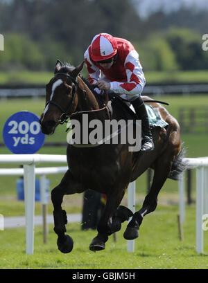 Courses hippiques - Powers Gold Cup novice Chase - Hippodrome de Fairyhouse.Les Kempes, criblés par Ruby Walsh, remportent l'haie de Rathbarry & Glenview Studs Novice à l'hippodrome de Fairyhouse, dans le comté de Meath. Banque D'Images