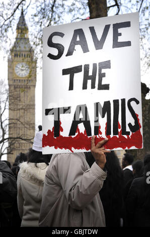 Des manifestants sur la place du Parlement de Londres protestent contre l'offensive du gouvernement sri-lankais contre les rebelles du tigre tamoul et des violations présumées des droits de l'homme. Banque D'Images