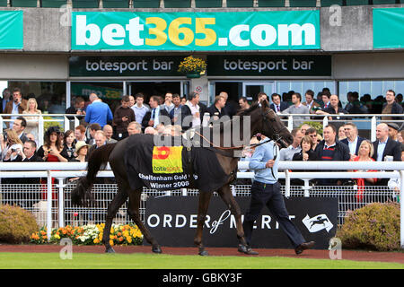 Le gagnant de la coupe d'or Cheltenham 2009 'Kauto Star' est en tête autour de l'anneau de parade à Sandown Park. Banque D'Images