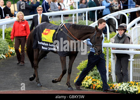 Le gagnant de la coupe d'or Cheltenham 2009 'Kauto Star' est en tête autour de l'anneau de parade à Sandown Park. Banque D'Images