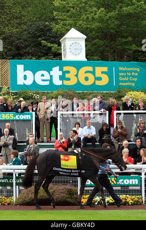 Le gagnant de la coupe d'or Cheltenham 2009 'Kauto Star' est en tête autour de l'anneau de parade à Sandown Park. Banque D'Images