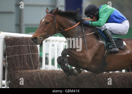 Les courses de chevaux - Stan James Perth Festival - Jour 3 - Perth Racecourse Banque D'Images