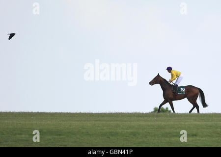 Sea the Stars monté par Mick Kinane fait son chemin À l'enceinte des gagnants après leur victoire en Stanjames.com 2000 enjeux guinéens Banque D'Images