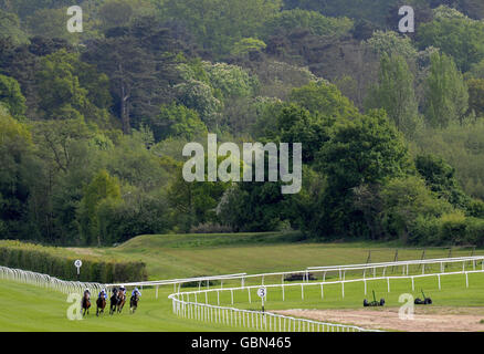 Les courses de chevaux - Le procès - Derby totesport.com Lingfield Park Racecourse Banque D'Images