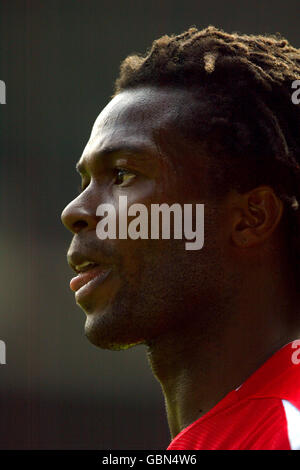 Football - amical - Nottingham Forest v Tottenham Hotspur. David Johnson, forêt de Nottingham Banque D'Images