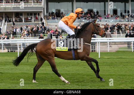 Les courses de chevaux - 2009 Mai Festival - Hippodrome de York Banque D'Images