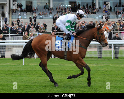 Courses hippiques - 2009 mai Festival - Tattersalls Musidora Stakes - York Racecourse.Le jockey Philip Makin sur Hitchens va poster dans les piquets de la place bleue du Duc de York Banque D'Images