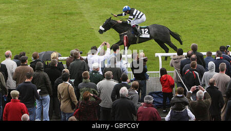 Les courses de chevaux - Boylesports.com 2000 guinées irlandaises - Curragh Hippodrome Banque D'Images