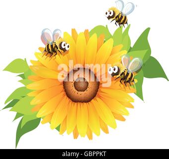 Les abeilles volant autour d'illustration de tournesol Illustration de Vecteur